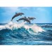 Puzzle hqc 500p  - dolphins  Clementoni    206202